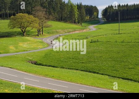 Una strada tortuosa conduce giù per la montagna nella terra di Wildenburg Foto Stock