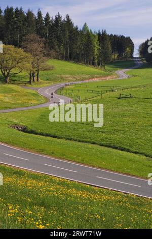 Una strada tortuosa conduce giù per la montagna nella terra di Wildenburg Foto Stock