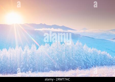 Foto ariosa della catena montuosa di Yatsugatake, il monte Fuji, foresta di larici con nebbia e ghiaccio e alba Foto Stock