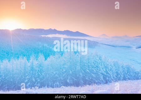 Foto ariosa della catena montuosa di Yatsugatake, il monte Fuji, foresta di larici con nebbia e ghiaccio e alba Foto Stock