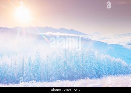 Catena montuosa di Yatsugatake, Mt. Fuji, nebbia e ghiaccio e foto ariosa di nuvole primaverili e alba Foto Stock