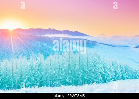 Foto ariosa della catena montuosa di Yatsugatake, il monte Fuji, foresta di larici con nebbia e ghiaccio e alba Foto Stock