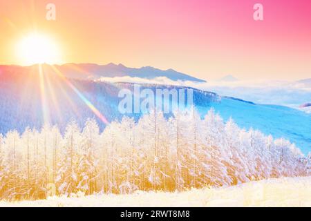 Foto ariosa della catena montuosa di Yatsugatake, il monte Fuji, foresta di larici con nebbia e ghiaccio e alba Foto Stock