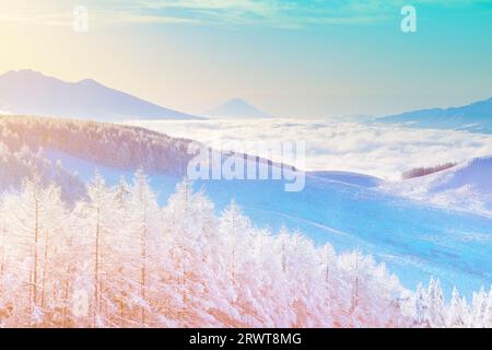 Foto ariosa della catena montuosa di Yatsugatake, il monte Fuji, mare mattutino di nuvole e foresta di larici con nebbia e ghiaccio Foto Stock