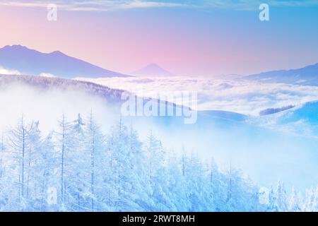 Foto ariosa della catena montuosa di Yatsugatake, il monte Fuji, mare di nuvole, ghiaccio nebulizzato e nebbia mattutina Foto Stock