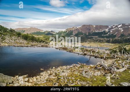 Foto della natura selvaggia e del fiume nella catena montuosa Dientes de Navarino in Cile Foto Stock