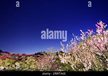 Si accende ad Hanamomo no Sato Foto Stock