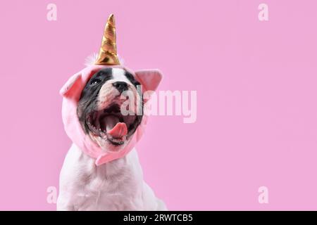 Divertente cucciolo di cane Bulldog francese con la bocca aperta e cappello da unicorno su sfondo rosa con spazio negativo Foto Stock