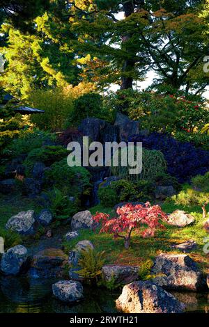 Japanese Tea Garden San Francisco Golden Gate Park Foto Stock