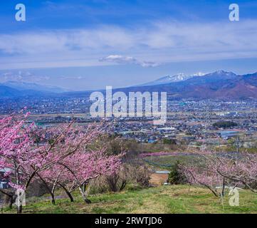 Bacino di Kofu e vista in lontananza del Monte Yatsushiro Furusato Park Foto Stock