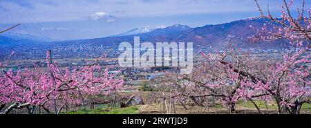 Bacino di Kofu e vista in lontananza del Monte Yatsushiro Furusato Park Foto Stock