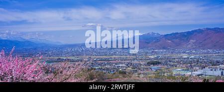 Bacino di Kofu e vista in lontananza del Monte Yatsushiro Furusato Park Foto Stock