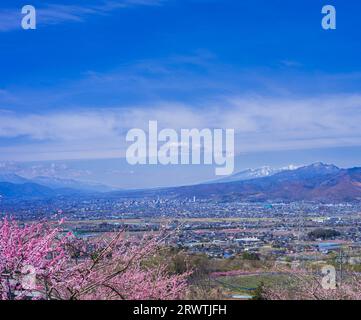 Bacino di Kofu e vista in lontananza del Monte Yatsushiro Furusato Park Foto Stock