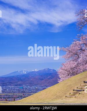Yamanashi paesaggi fiori di ciliegio al Koshu Kogage Yatsushiro Furusato Park Foto Stock