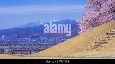 Yamanashi paesaggi fiori di ciliegio al Koshu Kogage Yatsushiro Furusato Park Foto Stock