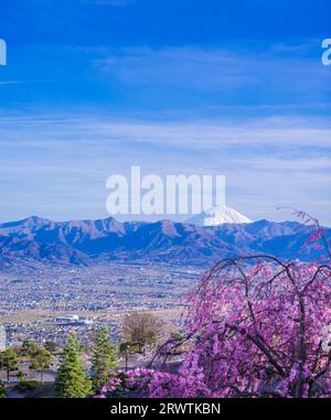 Paesaggi di Yamanashi fiori di ciliegio e vista a distanza del bacino di Kofu del Monte Fuji Fuefukigawa Fruit Park Foto Stock