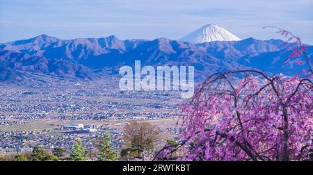 Yamanashi Landscapes Cherry blossoms and Kofu Basin Distant view of Mt. Fuji Fuefukigawa Fruit Park Stock Photo