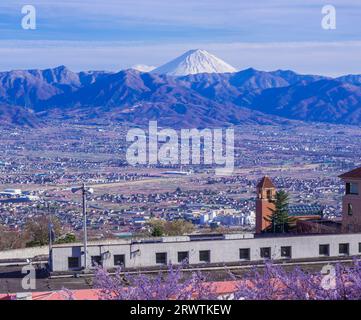 Paesaggi di Yamanashi fiori di ciliegio e bacino di Kofu, vista a distanza del Monte Fuji al Fuefukigawa Fruit Park Foto Stock