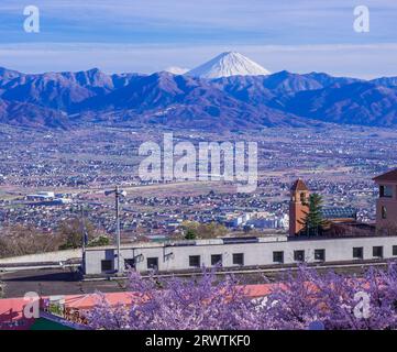 Paesaggi di Yamanashi fiori di ciliegio e bacino di Kofu, vista a distanza del Monte Fuji al Fuefukigawa Fruit Park Foto Stock