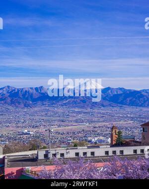 Paesaggi di Yamanashi fiori di ciliegio e bacino di Kofu, vista a distanza del Monte Fuji al Fuefukigawa Fruit Park Foto Stock