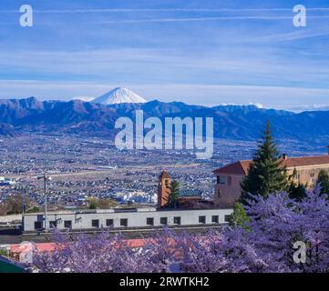 Paesaggi di Yamanashi fiori di ciliegio e bacino di Kofu, vista a distanza del Monte Fuji al Fuefukigawa Fruit Park Foto Stock