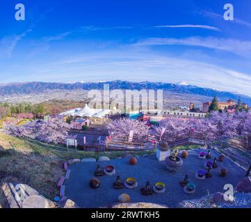 Paesaggi di Yamanashi fiori di ciliegio e bacino di Kofu, vista a distanza del Monte Fuji al Fuefukigawa Fruit Park Foto Stock
