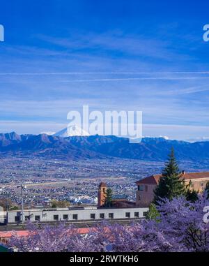 Paesaggi di Yamanashi fiori di ciliegio e bacino di Kofu, vista a distanza del Monte Fuji al Fuefukigawa Fruit Park Foto Stock