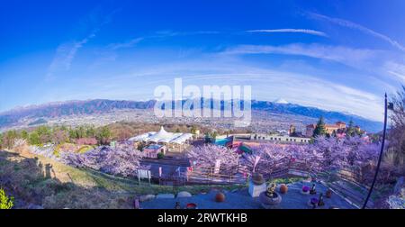 Paesaggi di Yamanashi fiori di ciliegio e bacino di Kofu, vista a distanza del Monte Fuji al Fuefukigawa Fruit Park Foto Stock