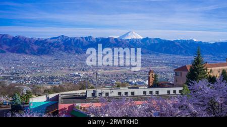 Paesaggi di Yamanashi fiori di ciliegio e bacino di Kofu, vista a distanza del Monte Fuji al Fuefukigawa Fruit Park Foto Stock