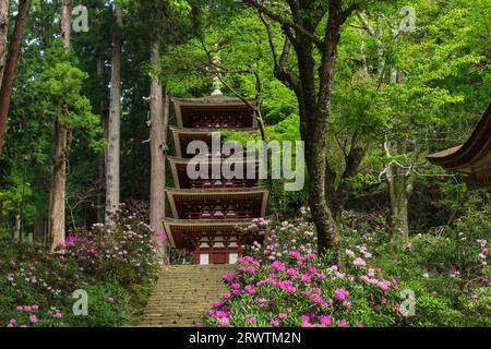 Pagoda a cinque piani del tempio Muroji Foto Stock