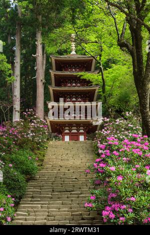 Pagoda a cinque piani del tempio Muroji Foto Stock