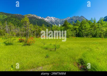 Kamikochi Tashiro Marshland e catena montuosa Hotaka Foto Stock