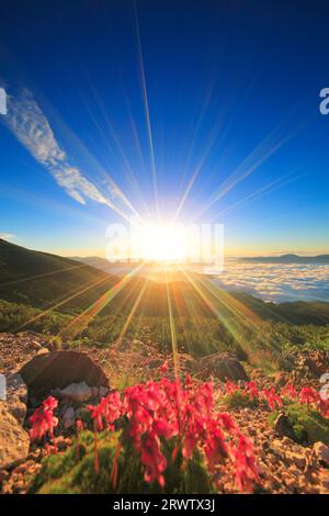Komakusa, il sole del mattino, il Monte Yagatake e altre montagne e mare di nuvole Foto Stock