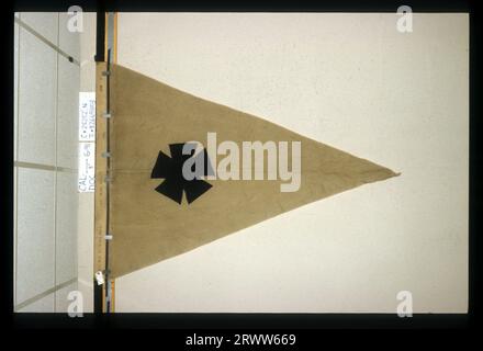 Bandiera designante. 1st Brigade, 3rd Division, 22nd Army Corps. AF*25252N. Scansione da diapositiva. Foto Stock