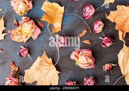 Modello di vibrazioni autunnali. Rose secche e foglie d'acero su sfondo rustico. Zero rifiuti, decorazioni organiche. Foto Stock