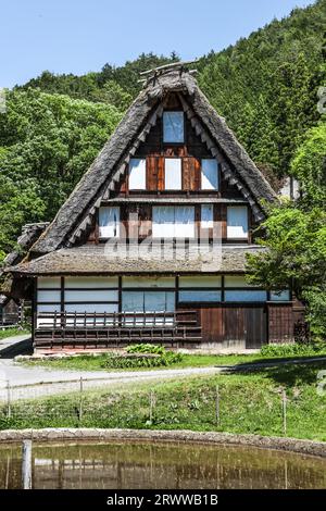 Ex casa Nishioka a Hida-no-sato che guarda Kurumada (campo di riso) subito dopo la piantagione di riso in primo piano Foto Stock