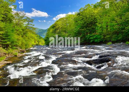 Cascate Ryuzu no Taki e lago Chuzenji Foto Stock