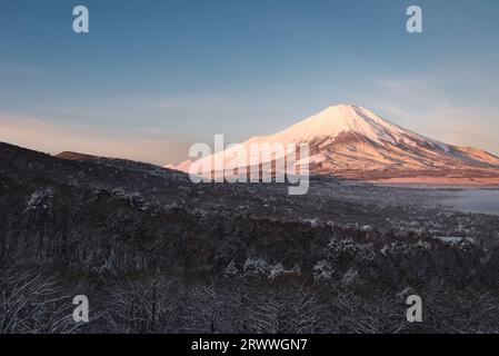 MT. Fuji al mattino dal passo Mikuni sulla neve Foto Stock