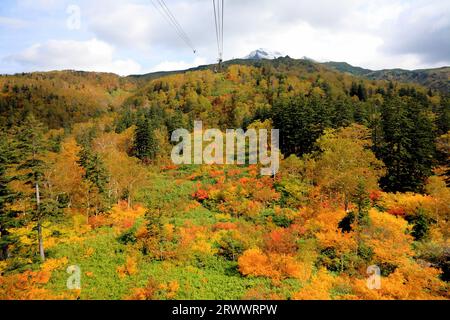 L'autunno parte ai piedi del Monte Asahi Dake Foto Stock