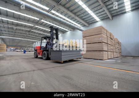 Contea di Luannan, Cina - 17 giugno 2023: I lavoratori utilizzano carrelli elevatori per trasportare nuovi materiali da costruzione in una fabbrica, nel nord della Cina Foto Stock