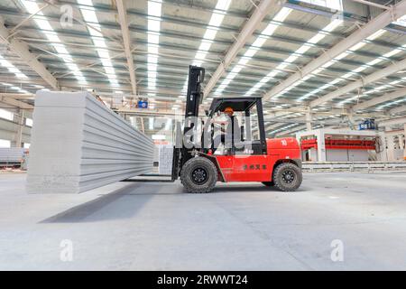 Contea di Luannan, Cina - 17 giugno 2023: I lavoratori utilizzano carrelli elevatori per trasportare nuovi materiali da costruzione in una fabbrica, nel nord della Cina Foto Stock