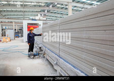 Contea di Luannan, Cina - 17 giugno 2023: I lavoratori stanno lavorando intensamente sulla linea di produzione di nuovi materiali da costruzione - pannelli divisori leggeri Foto Stock
