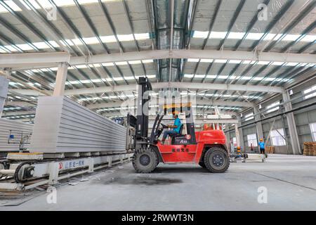 Contea di Luannan, Cina - 17 giugno 2023: I lavoratori utilizzano carrelli elevatori per trasportare nuovi materiali da costruzione in una fabbrica, nel nord della Cina Foto Stock