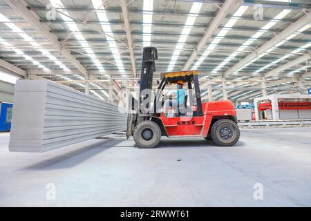 Contea di Luannan, Cina - 17 giugno 2023: I lavoratori utilizzano carrelli elevatori per trasportare nuovi materiali da costruzione in una fabbrica, nel nord della Cina Foto Stock