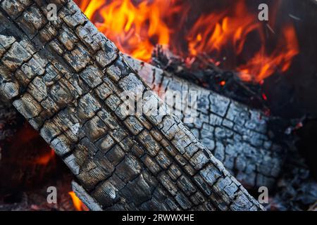 Primo piano di una ripresa dettagliata del tronco blisterizzato e delle fiamme arancioni e rosse dietro di esso Foto Stock