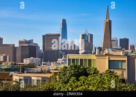 Vista del centro cittadino di San Francisco da Telegraph Hill nelle luminose giornate estive Foto Stock