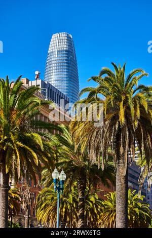 Le palme e i lampioni raggiungono il cielo alto verso il grattacielo solitario nelle giornate di cielo azzurro Foto Stock