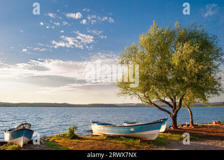 Ampia vista delle barche dei pescatori sul lago Ulubat, Golyazi, Bursa, Turchia, sul lago con grandi alberi, tramonto Foto Stock