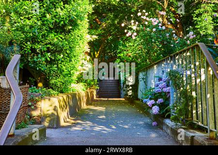 Sentiero naturalistico con cespugli e ortensie viola e blu che attraversano la recinzione che conduce alle scale Foto Stock