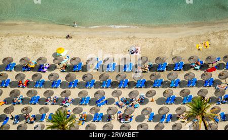 Vista aerea, spiaggia con lettini e ombrelloni, spiaggia di Palmira a Passeig Maritim de Palmira, Playa Palmira, Peguera, Calvia, Isole Baleari, ma Foto Stock